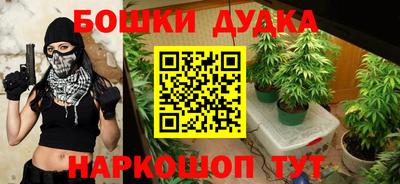 молекула духа Будённовск