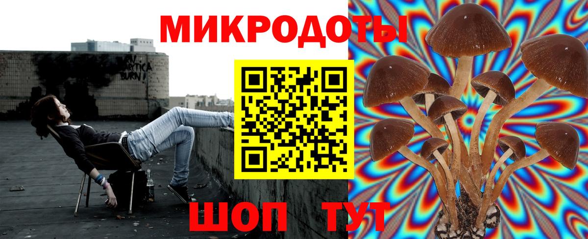 Галлюциногенные грибы Psilocybe  Вход с VPN  Галлюциногенные грибы ЛСД  Крымск 